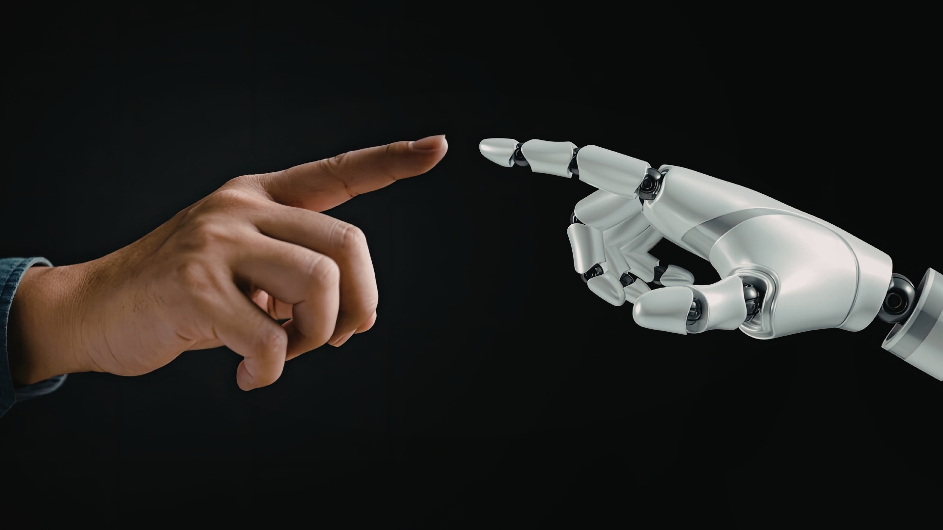 Untitled design (43)